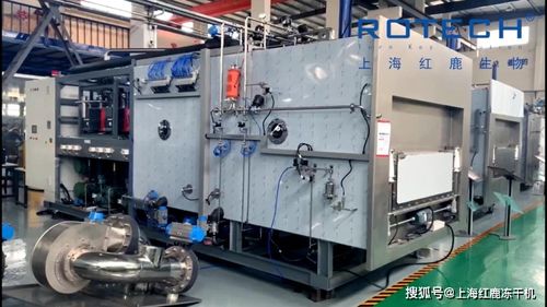 凍干機(jī)在制藥與食品領(lǐng)域的差異及箱包代理銷售模式解析